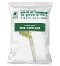 Radish Indo Us Corumba
